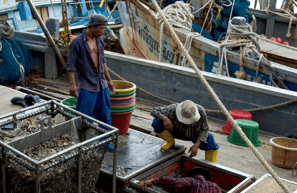 Jul-Aug 2024: Organizing to Improve the Conditions of Distant-Water Fishers | USAID & locally-led development in Colombia | Health rights learning exchange