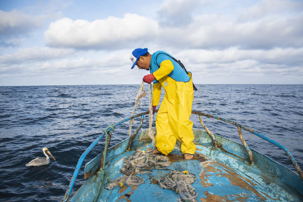 Mar-Apr 2025: Organizing for Fisher Rights | Accountability & Responsibility | Indigenous Knowledge & Health Rights