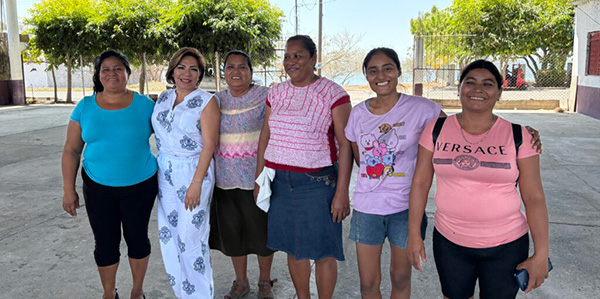 Mexico citizen oversight